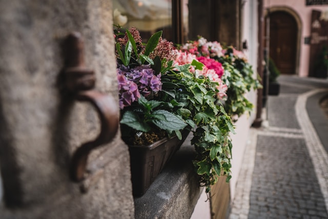 Poem – “After The Argument”