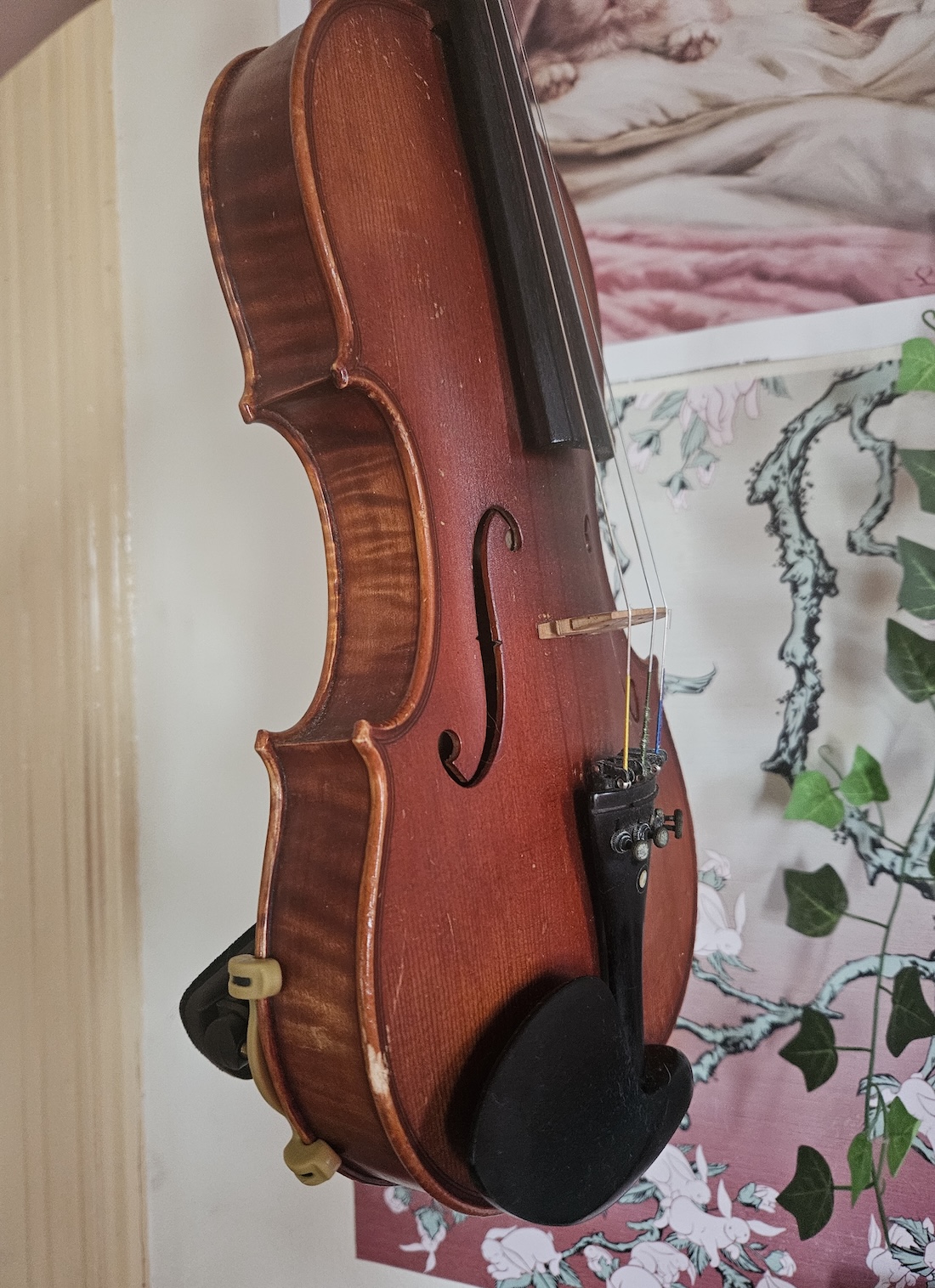 My Bunny Woke Up and Chose Violins
