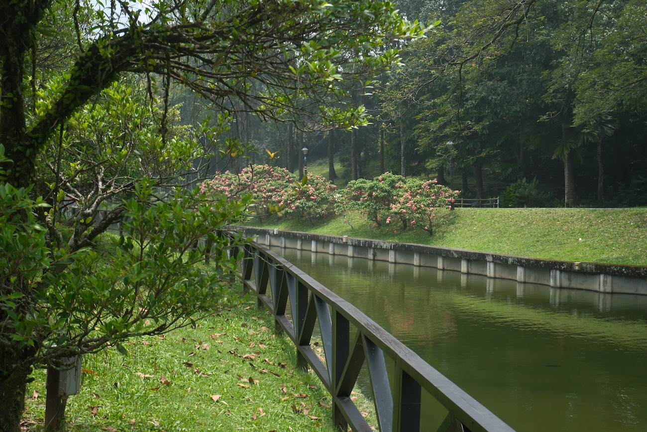 Sept’26 KL – Day 4 (Perdana Botanical Garden & Butterfly Park)
